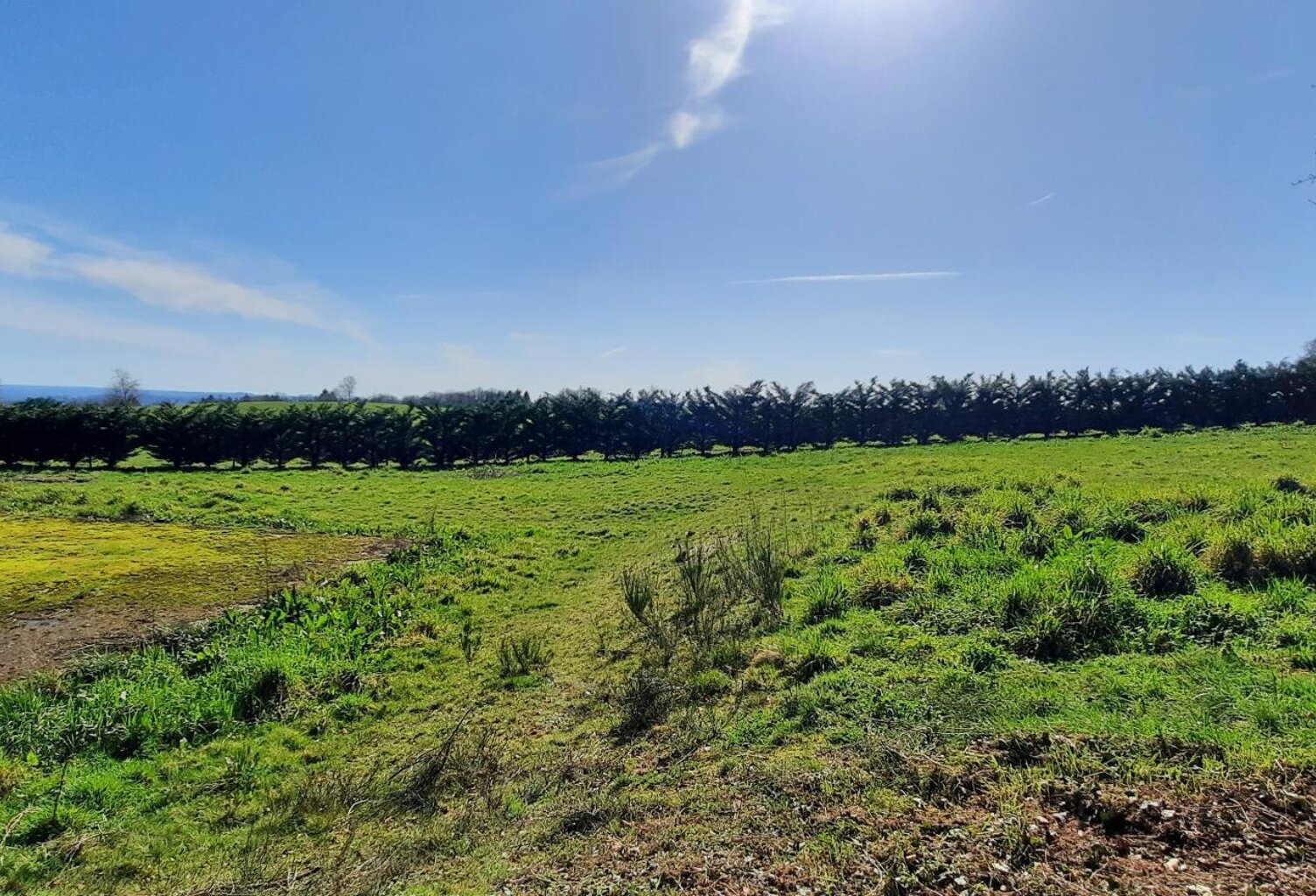 parcelle de terrain avec partie constructible — photo 1
