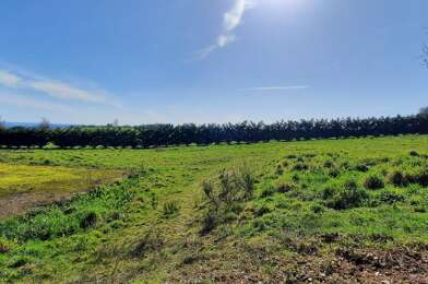 Terrain  16000 €