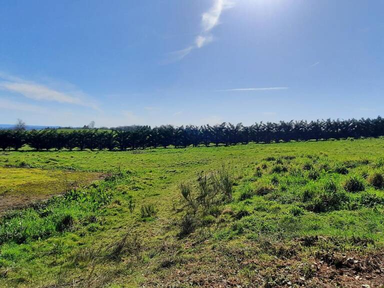 parcelle de terrain avec partie constructible — photo 1