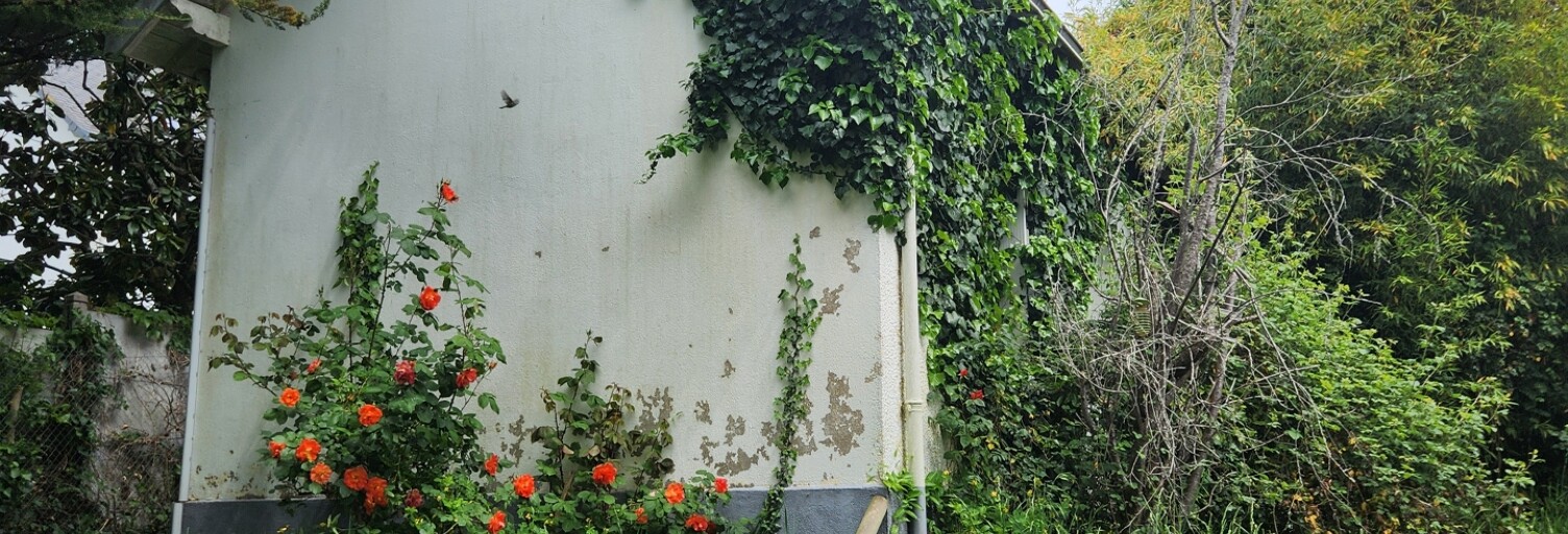 Photo N° 2
