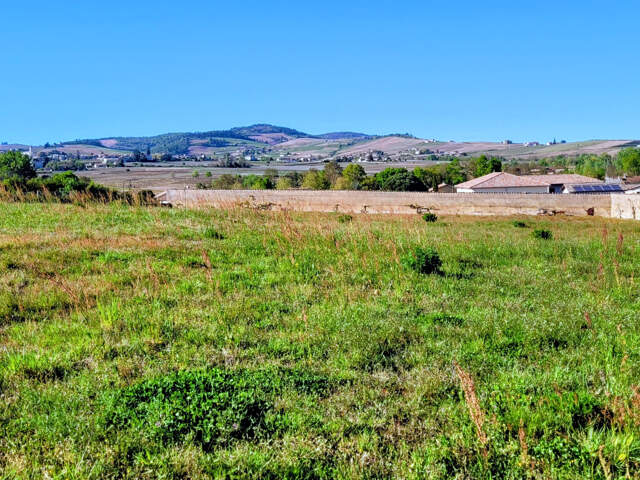 LANCIE (69220) TERRAIN 410m2 LIBRE CONSTRUCTEUR — photo du bien