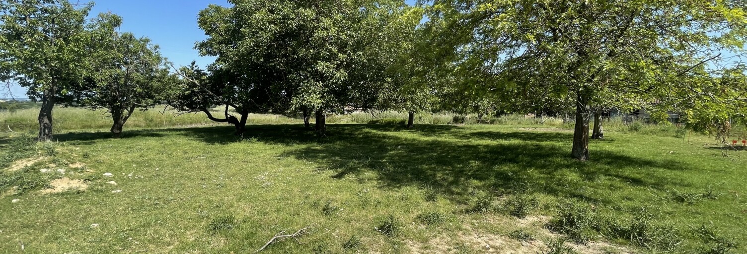 Terrain  813 m² à vendre à Baziège (31450)