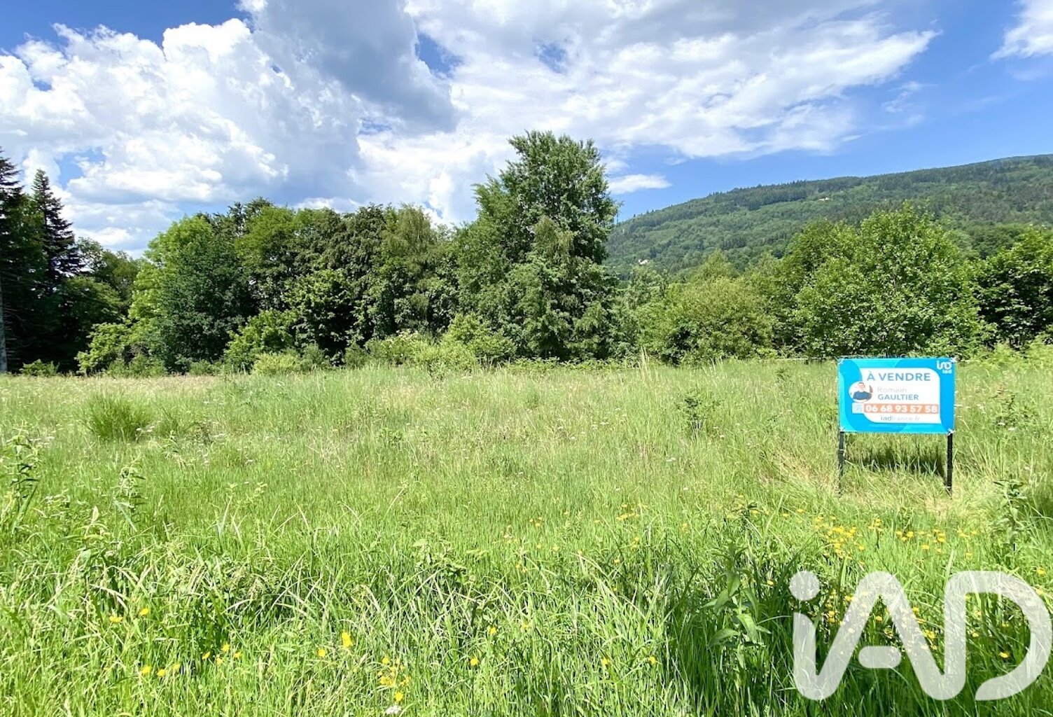 Vente Terrain à bâtir 2 655 m&sup2; — photo 1