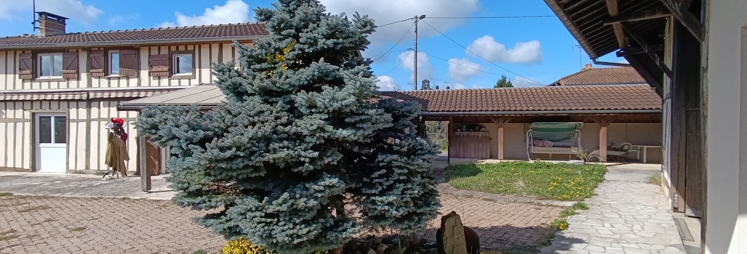 Maison 5 Pièces 155 m² à vendre à Sainte-Marie-du-Lac-Nuisement (51290)
