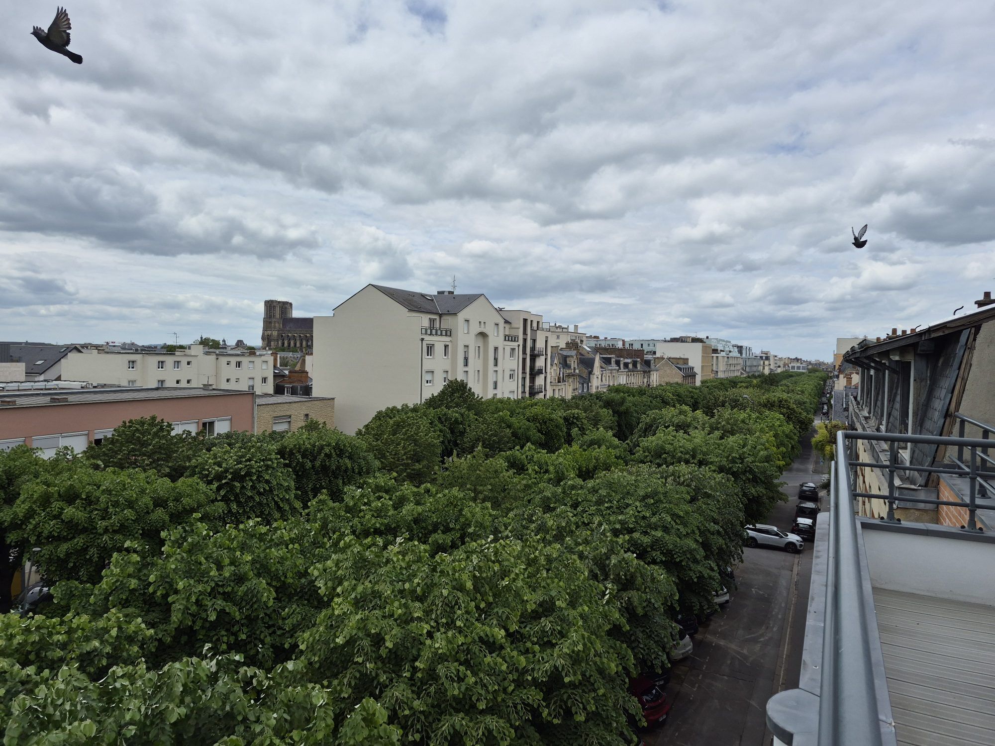 Appartement  T3 à louer Reims 51100