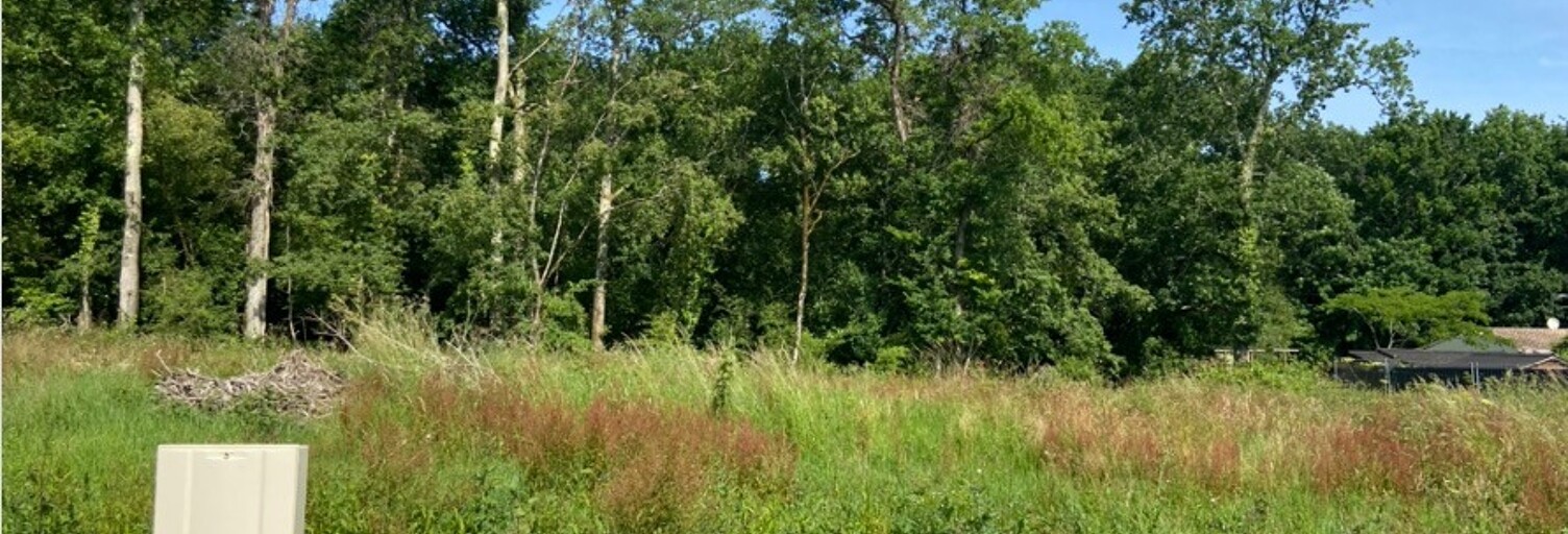 Terrain  411 m² à vendre à Médis (17600)