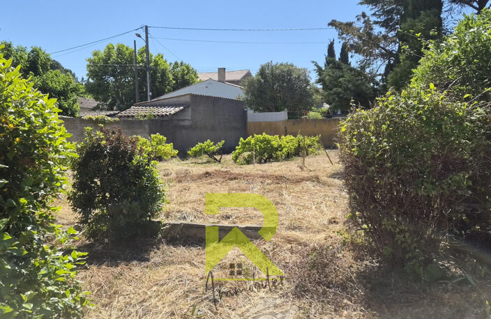 maison avec grand terrain  fort potentiel  5 pièces capendu — photo 3