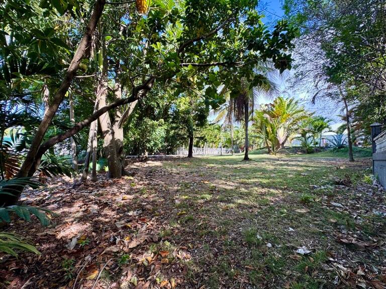 EN EXCLUSIVITÉ – A LOUER TERRAIN COMMERCIAL PREMIUM 760 m² – AXE SAINTE-ANNE / SAINT-FRANÇOIS — photo 1