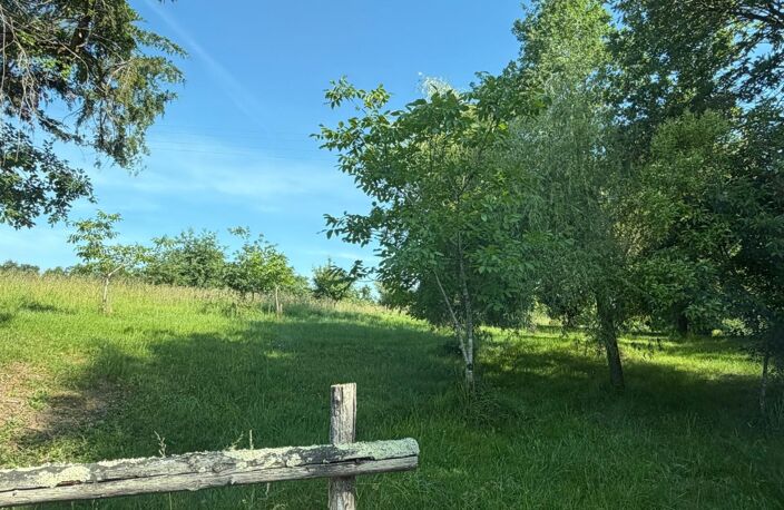 Nogaro(32) 7 km, ANCIENNE METAIRIE GASCONNE 280m2 dont 160m2 habtiables sur 4.5ha, au bout d'un long chemin, CACHEE, SANS VIS A VIS, 5 ha de bois et terres, AU CALME, dépendances, rare — photo 2