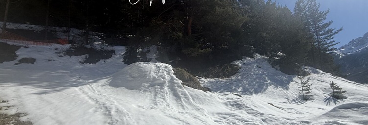 Photo N° 2