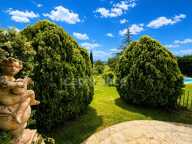 Propriété à vendre 8 pièces 274 m2 sur 1 hectare PERTUIS (84) — photo 4