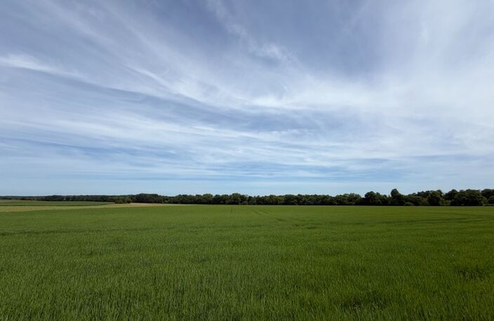 Terrain à vendre  ARCEAU (21) — photo 2