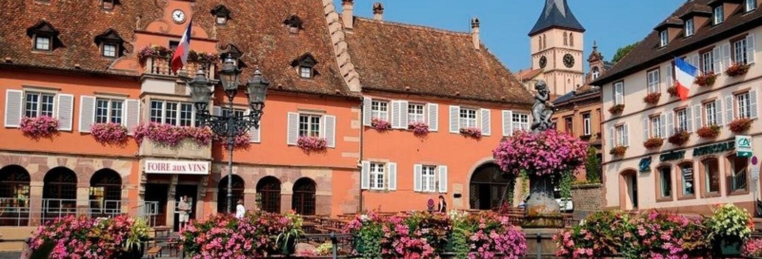 Commerce 3 Pièces 156 m² à vendre à Obernai (67210)