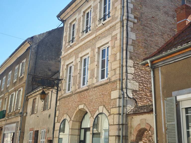 Maison de ville à vendre à Auxonne centre – 256 m², jardin et de belles possibilités — photo 1