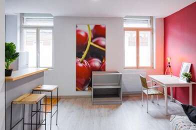Appartement 1 pièces 485 €