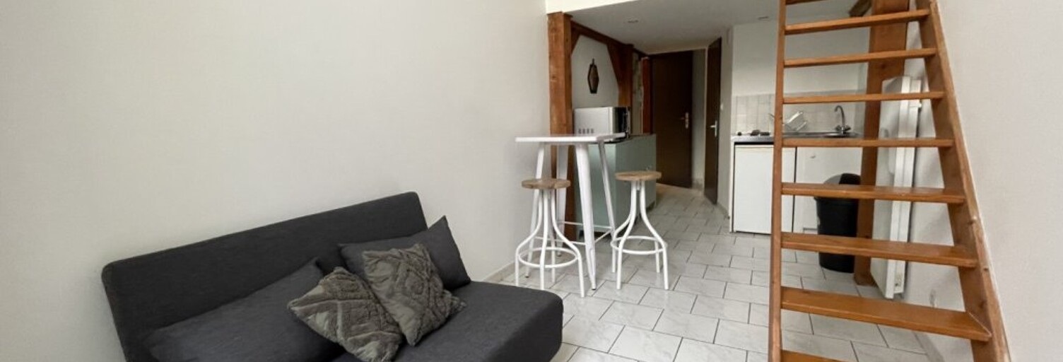 Appartement 1 Pièce 25 m² à louer à Lyon 7 (69007)