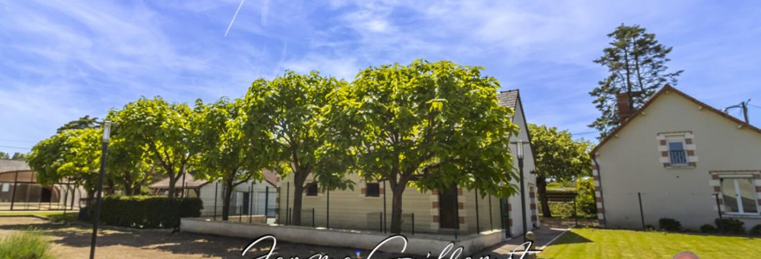 Maison 12 Pièces 291 m² à vendre à Villefranche-sur-Cher (41200)