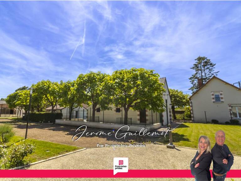 Maison Villefranche Sur Cher 12 pièce(s) 291.5 m2 — photo 1