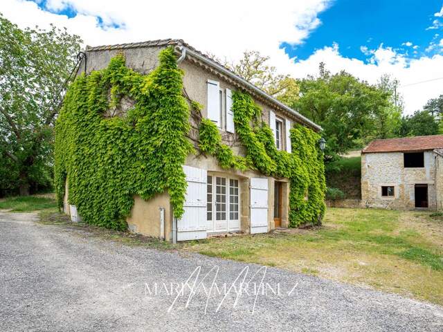 Maison en pierre rénovée avec dépendance de 120 m² et parc arboré de plus de 1880m2 - Villeneuve-la-Comptal — photo du bien