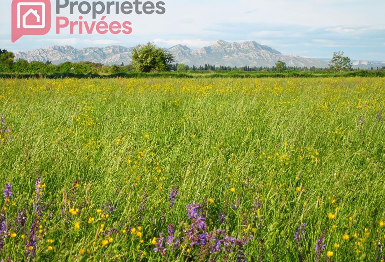 MANDAT EXCLUSIF - Terrain à Batir - Saint Martin De Crau — photo 1
