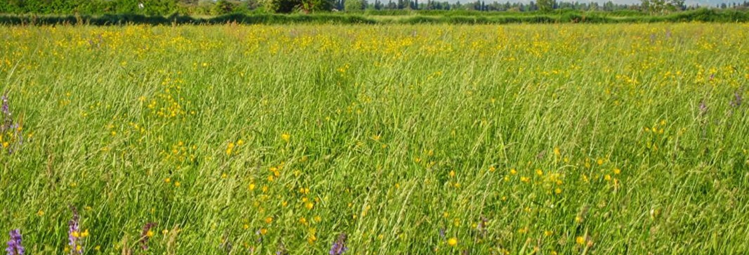 Terrain  545 m² à vendre à Saint-Martin-de-Crau (13310)