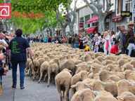MANDAT EXCLUSIF - Terrain à Batir - Saint Martin De Crau — photo 2