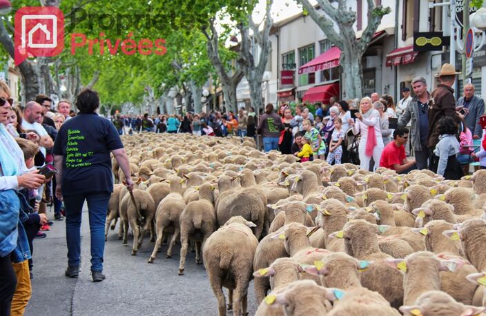 MANDAT EXCLUSIF - Terrain à Batir - Saint Martin De Crau — photo 2
