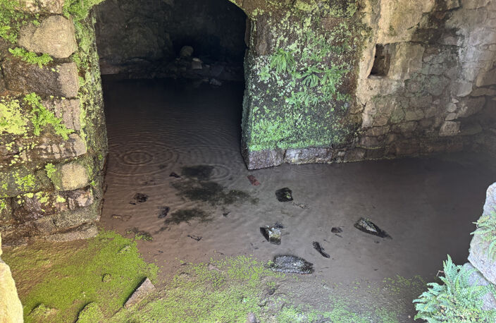 Maison ancienne 90m2 avec dépendances au Monestier — photo 4