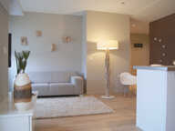 Appartement meublé à louer à lyon 6ème arrondissement le  ze — photo 3