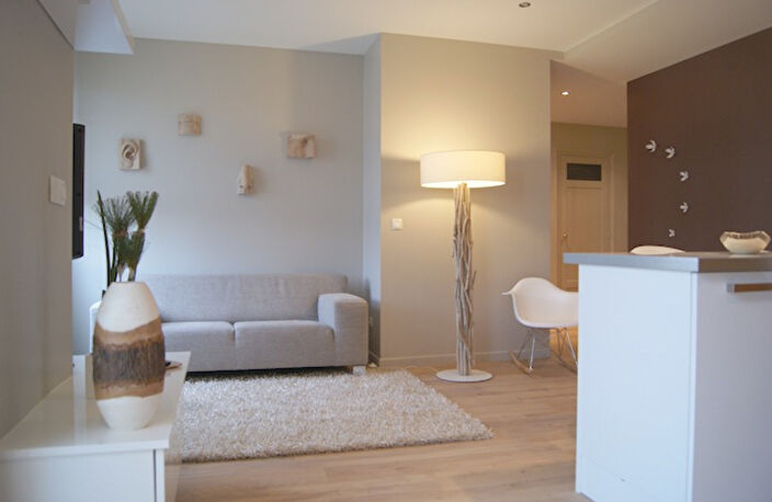 Appartement meublé à louer à lyon 6ème arrondissement le  ze — photo 3