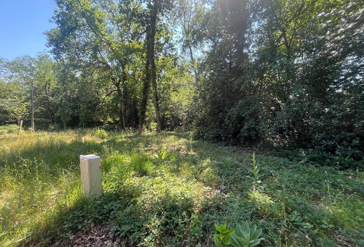 BLANQUEFORT - Terrain à batir de 800 m2 viabilisé avec un em — photo 1