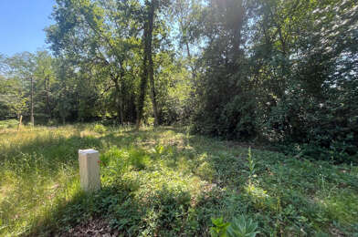 Terrain  235200 €