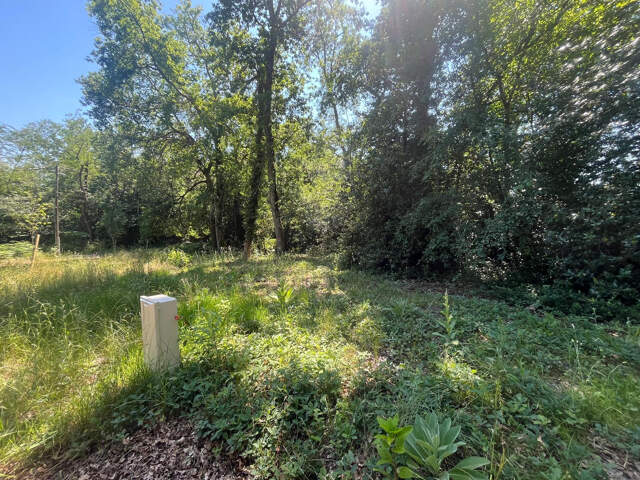 BLANQUEFORT - Terrain à batir de 800 m2 viabilisé avec un em — photo du bien