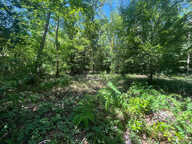 BLANQUEFORT - Terrain à batir de 845 m2 viabilisé avec un em — photo 2