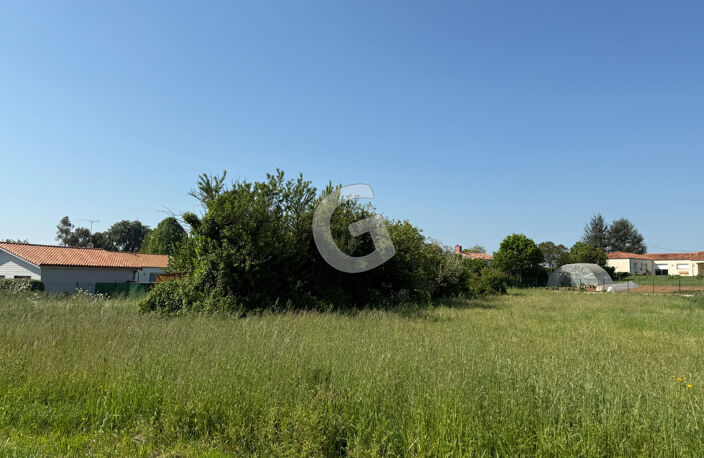 TERRAIN  - 1131 M² - A VENDRE - SAINT BENOIST SUR MER — photo 2