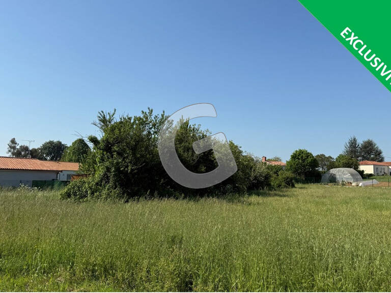 TERRAIN  - 983 M² - A VENDRE - SAINT BENOIST SUR MER — photo 1