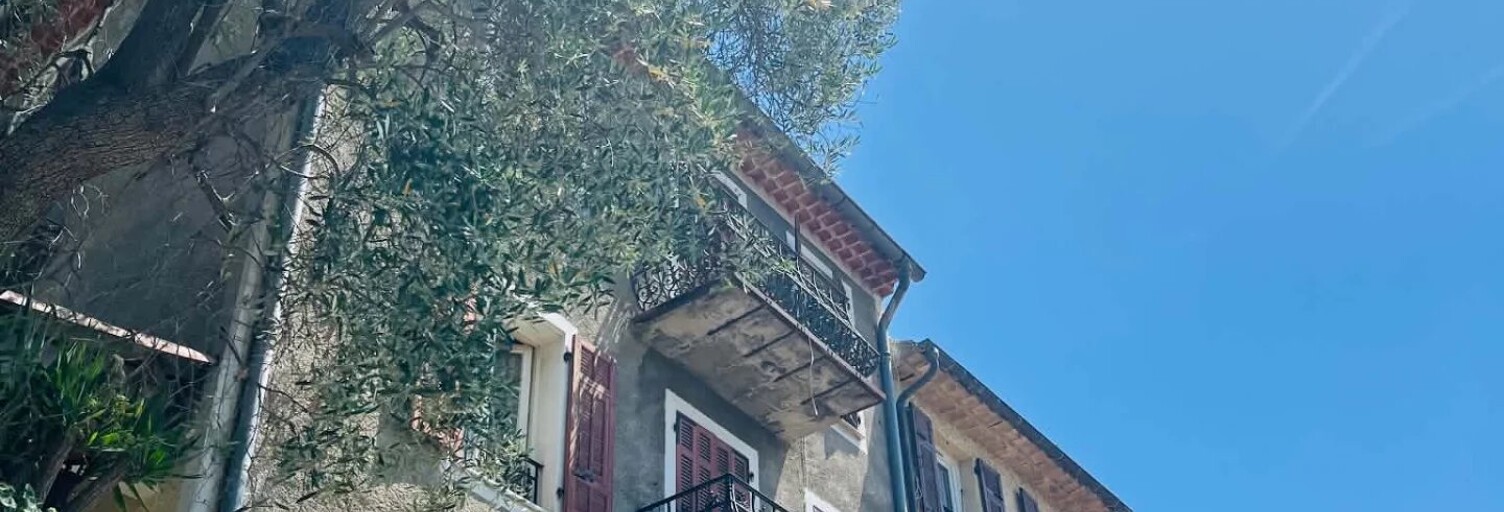 Maison 12 Pièces 210 m² à vendre à Saint-Martin-du-Var (06670)