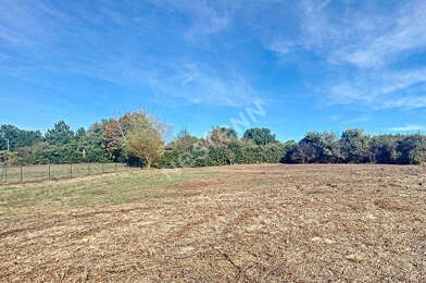 Terrain  65000 €