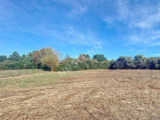 Terrain constructible viabilisé de 765 m² proche de Montauban — photo du bien