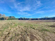 Terrain constructible viabilisé de 765 m² proche de Montauban — photo 3