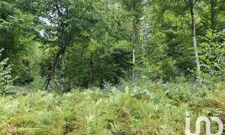 Terrain  10388 m² à vendre à Bonnefont (65220)