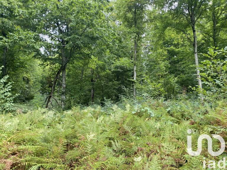 Vente Terrain agricole 10 388 m&sup2; — photo 1