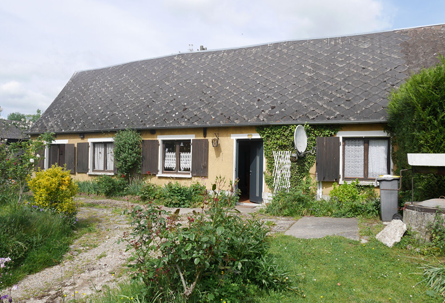 ROUMARE — photo 1