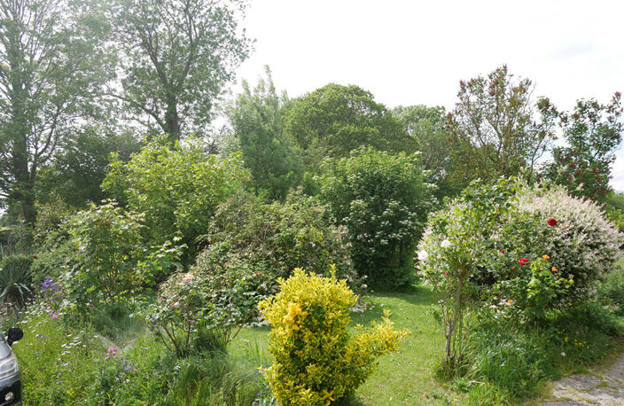 ROUMARE — photo 2
