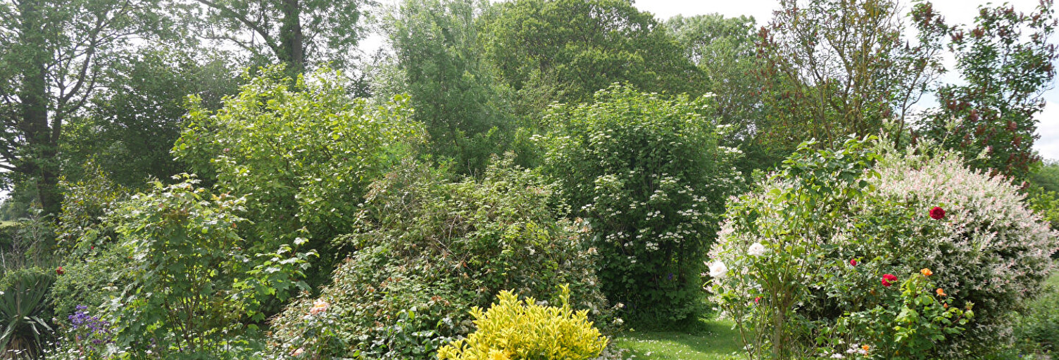 Photo N° 2