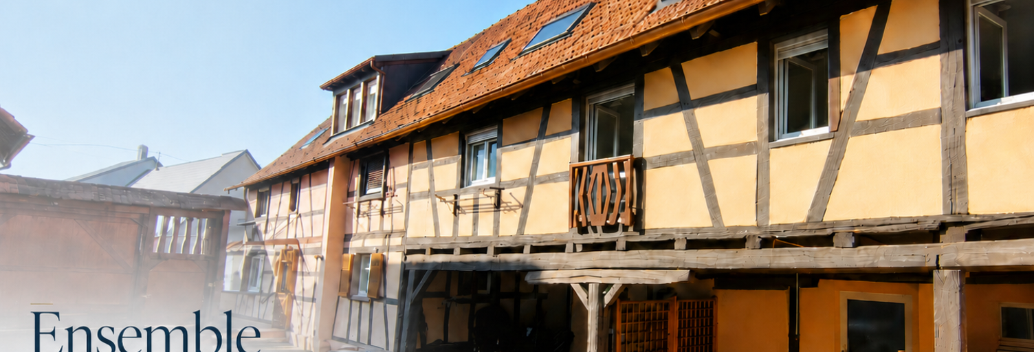 Maison 10 Pièces 249 m² à vendre à Mommenheim (67670)