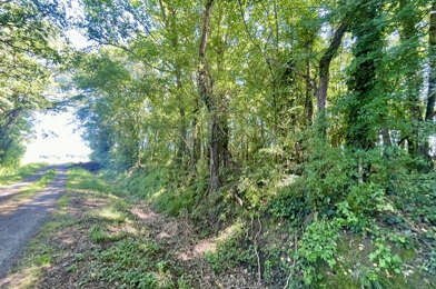 Terrain  11000 €