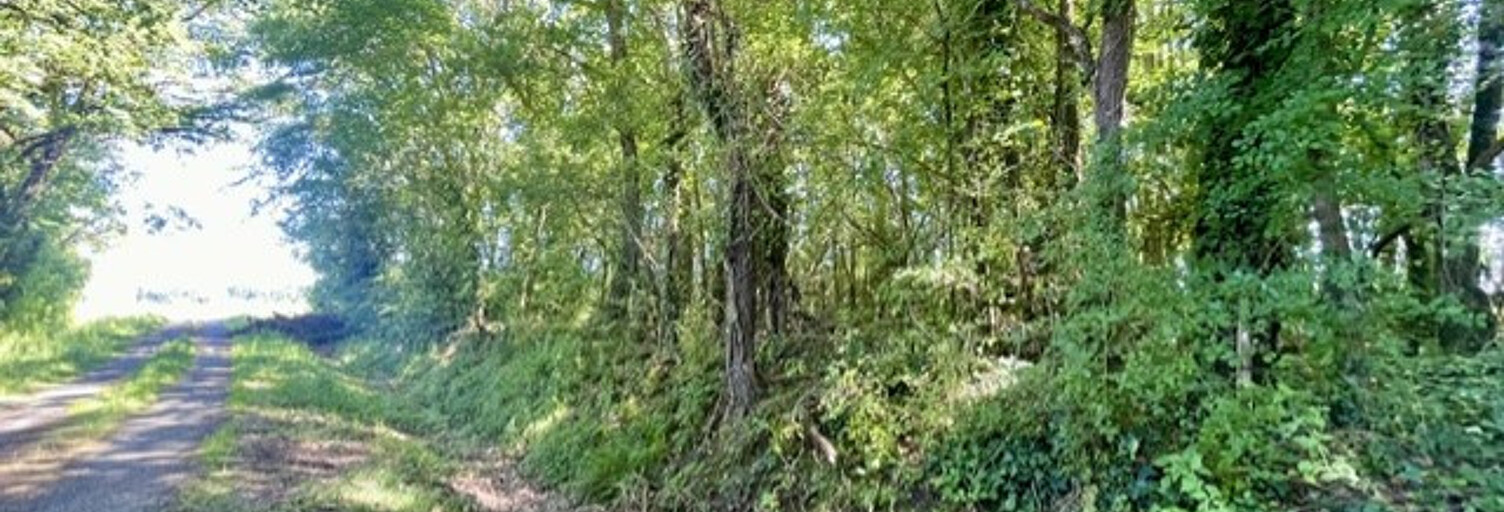 Terrain  1304 m² à vendre à Lamasquère (31600)