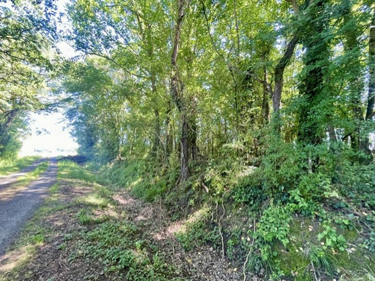 Terrain agricole avec un puits à Lamasquère — photo 1