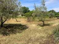 Vente Terrain à bâtir 2 257 m&sup2; — photo 2